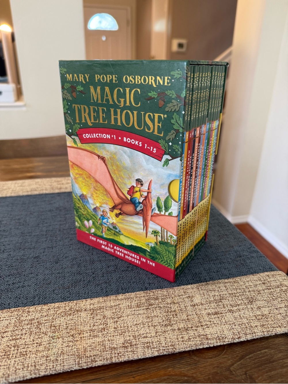 Magic Tree House Collection 1: 1-15 Book Box Set by Mary Pope Osborne